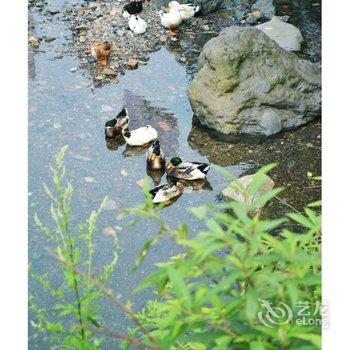 峨眉山继祥居酒店提供图片