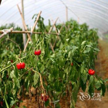 莫干山香溢生态园酒店提供图片