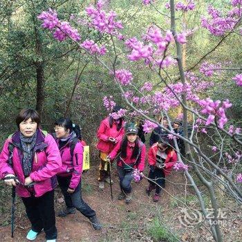 天台陶园农家民宿酒店提供图片