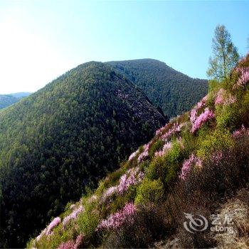 张家口亚龙湾生态度假村酒店提供图片