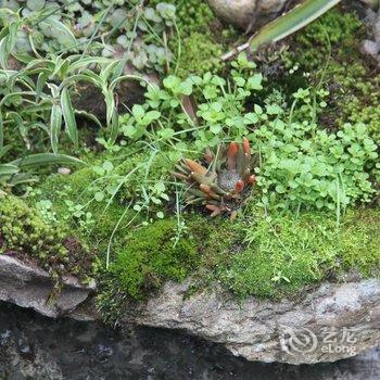 磐安清平乐村居农家乐酒店提供图片