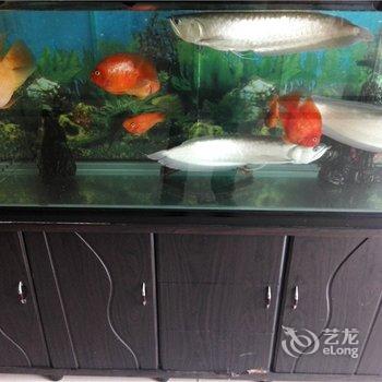 澄迈金鸿旅馆酒店提供图片