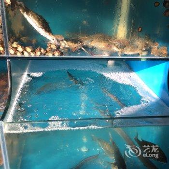 嵊泗渔农舍海边度假山庄酒店提供图片