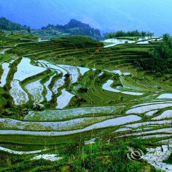 云和石寮避暑山庄酒店提供图片