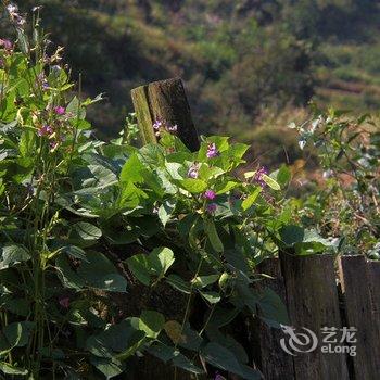 云和石寮避暑山庄酒店提供图片