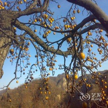 鲁山大峡谷漂流88号农家院酒店提供图片