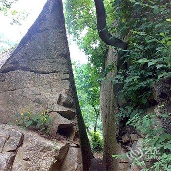 鲁山大峡谷漂流88号农家院酒店提供图片