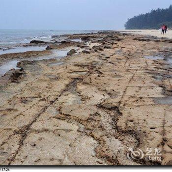 北海涠洲岛海心沙客栈(原树语听风沙滩旅馆)酒店提供图片