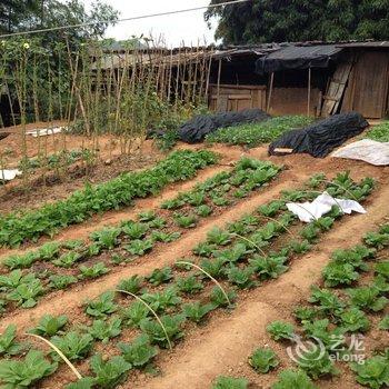 泰宁白鹭湾农家饭庄农家乐酒店提供图片