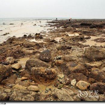 北海涠洲岛海心沙客栈(原树语听风沙滩旅馆)酒店提供图片