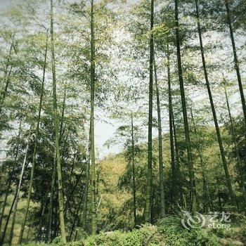 莫干山天然居民宿酒店提供图片