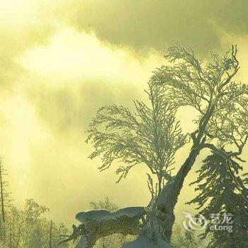 雪乡天天乐家庭旅馆酒店提供图片