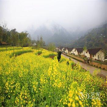 赣州大余丫山花海客栈酒店提供图片