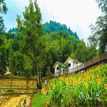 赣州大余丫山花海客栈酒店提供图片