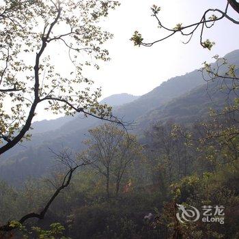 华山裕华宾馆酒店提供图片