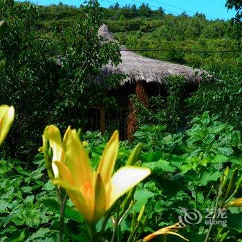 漳县遮阳山天华度假村酒店提供图片