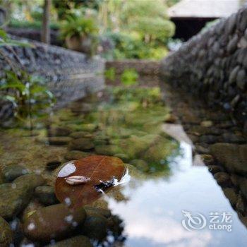 景洪菩提帕莎别院酒店提供图片