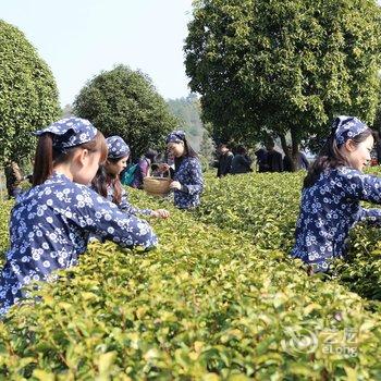 婺源金山茶庄酒店提供图片