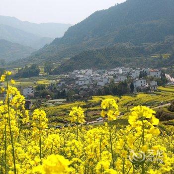 婺源江岭壹号客栈酒店提供图片