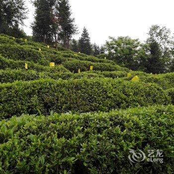 青城山青雅居酒店提供图片