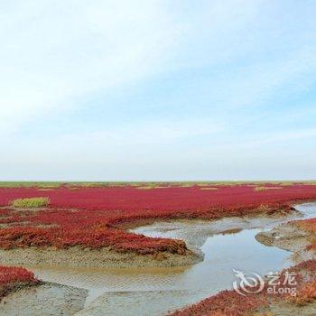 葫芦岛君临农家院酒店提供图片