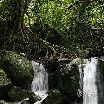 五指山亚泰雨林酒店酒店提供图片