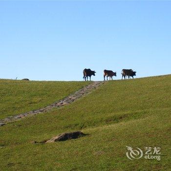 福州永泰云顶仙溪馨园客栈酒店提供图片