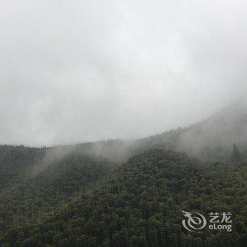 安吉大竹海沪吉竹源山庄用户上传图片