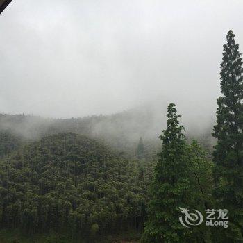 安吉大竹海沪吉竹源山庄用户上传图片