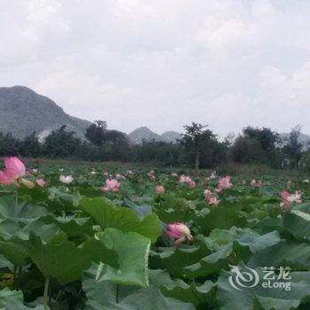 普者黑河韵客栈酒店提供图片