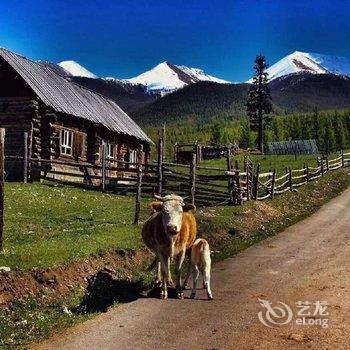 白哈巴记忆旅行客栈酒店提供图片