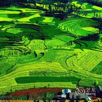 张北野狐岭一号农家院酒店提供图片