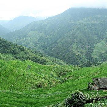 龙胜龙脊金龙山庄酒店提供图片