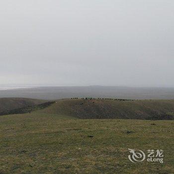 青海湖鸟岛金轮假日山庄酒店提供图片