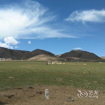 青海湖鸟岛金轮假日山庄酒店提供图片