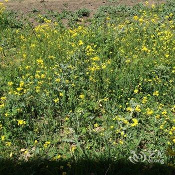 青海湖自驾骑行服务基地酒店提供图片