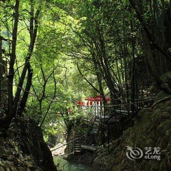 安吉郭家坞山庄酒店提供图片