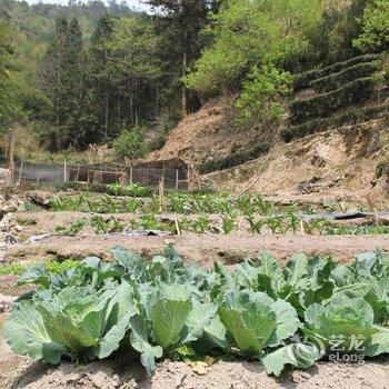 南靖土楼听泉山庄酒店提供图片