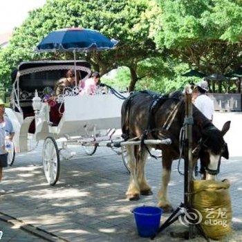 苗栗飞牛牧场酒店提供图片