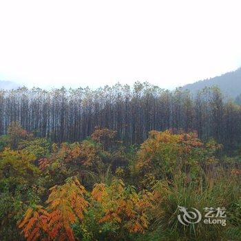 石台九二七宾馆酒店提供图片