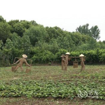 泗阳大禾庄园酒店提供图片