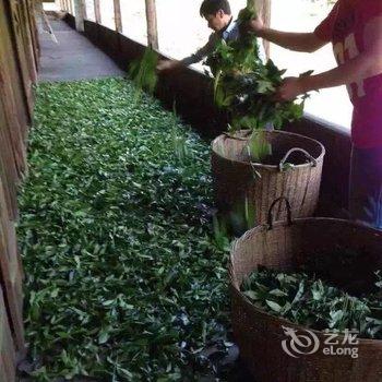 武夷山茗茶岸坊驿站酒店提供图片