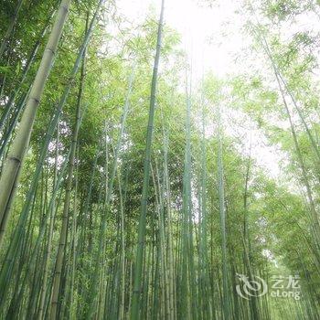 莫干山静山居民宿酒店提供图片