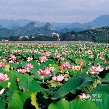 合肥中庙滨湖城碧桂园凤凰酒店酒店提供图片