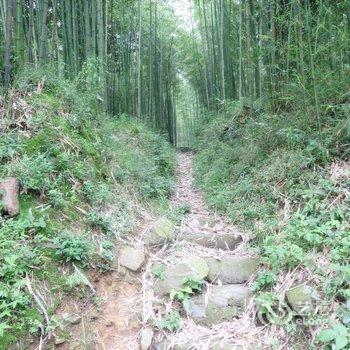 莫干山静山居民宿酒店提供图片