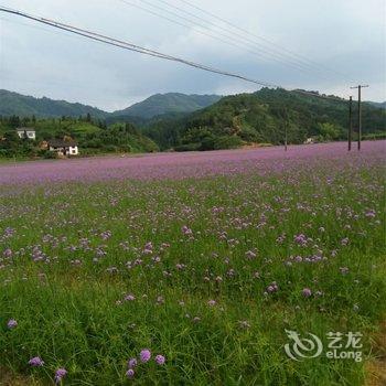 浏阳大围山客家农庄酒店提供图片