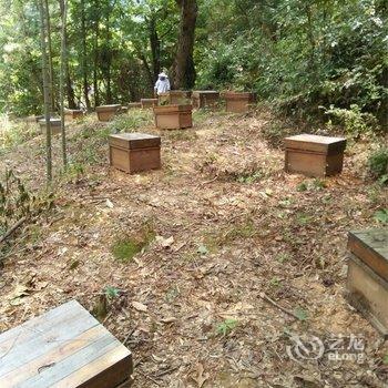 浏阳大围山客家农庄酒店提供图片