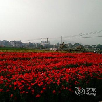 桐庐荻浦孝义风情园酒店提供图片