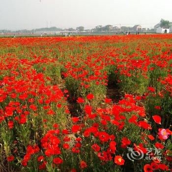 桐庐荻浦孝义风情园酒店提供图片