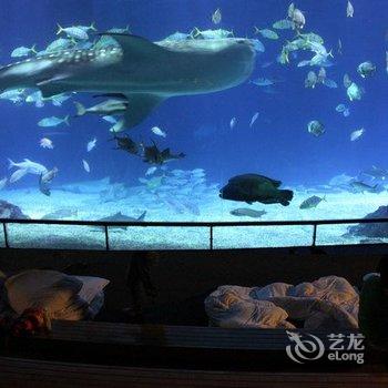 屏东国立海洋生物博物馆酒店提供图片